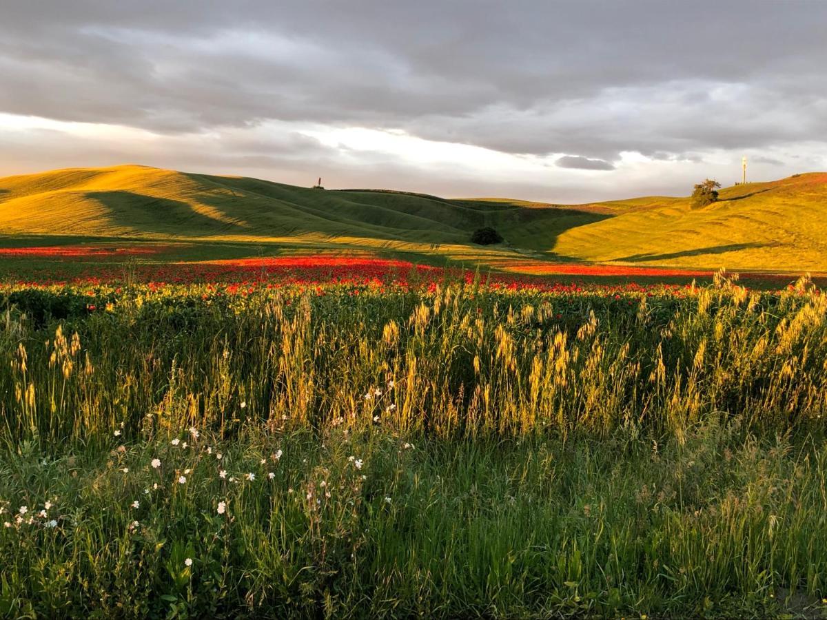 Tuscany Charme Boutique House Monteroni dʼArbia Екстериор снимка